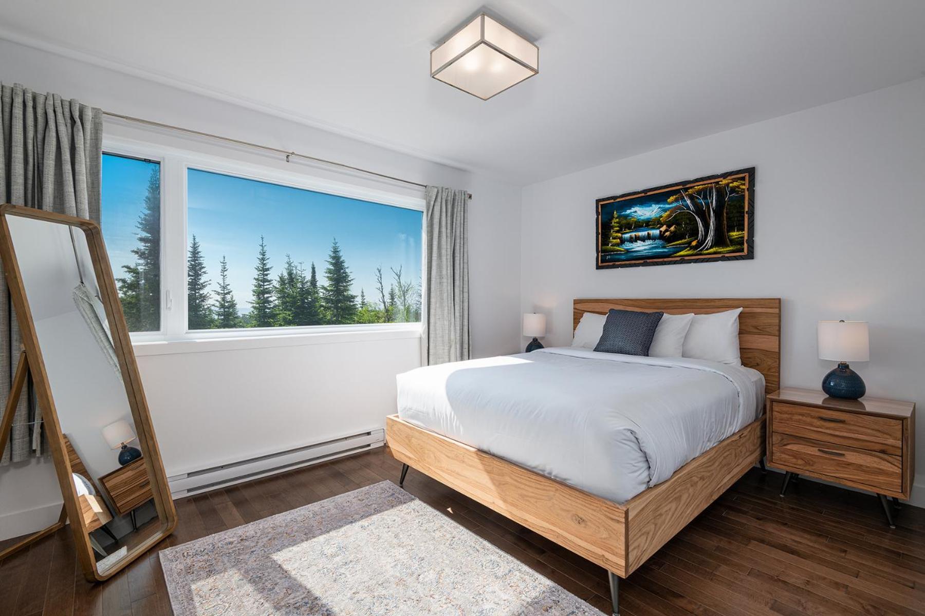 Les Chalets Du Massif De Charlevoix Петіт-Рів'єр-Сен-Франсуа Номер фото