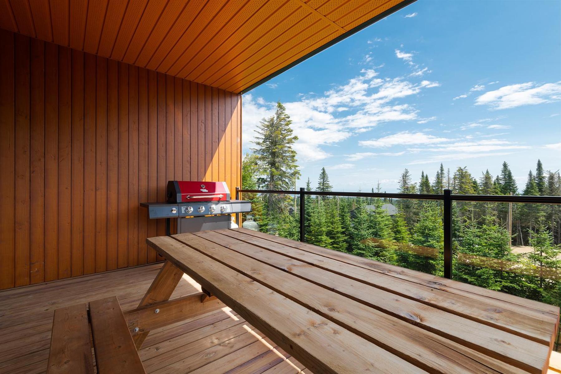Les Chalets Du Massif De Charlevoix Петіт-Рів'єр-Сен-Франсуа Номер фото