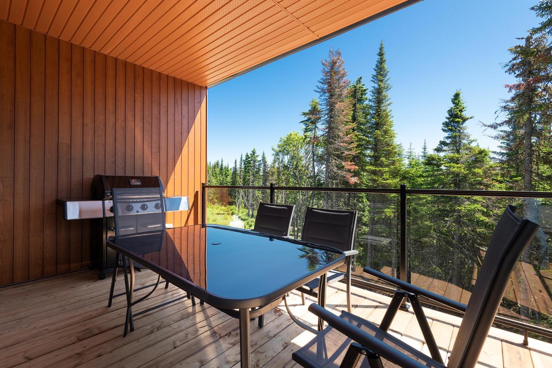 Les Chalets Du Massif De Charlevoix Петіт-Рів'єр-Сен-Франсуа Номер фото