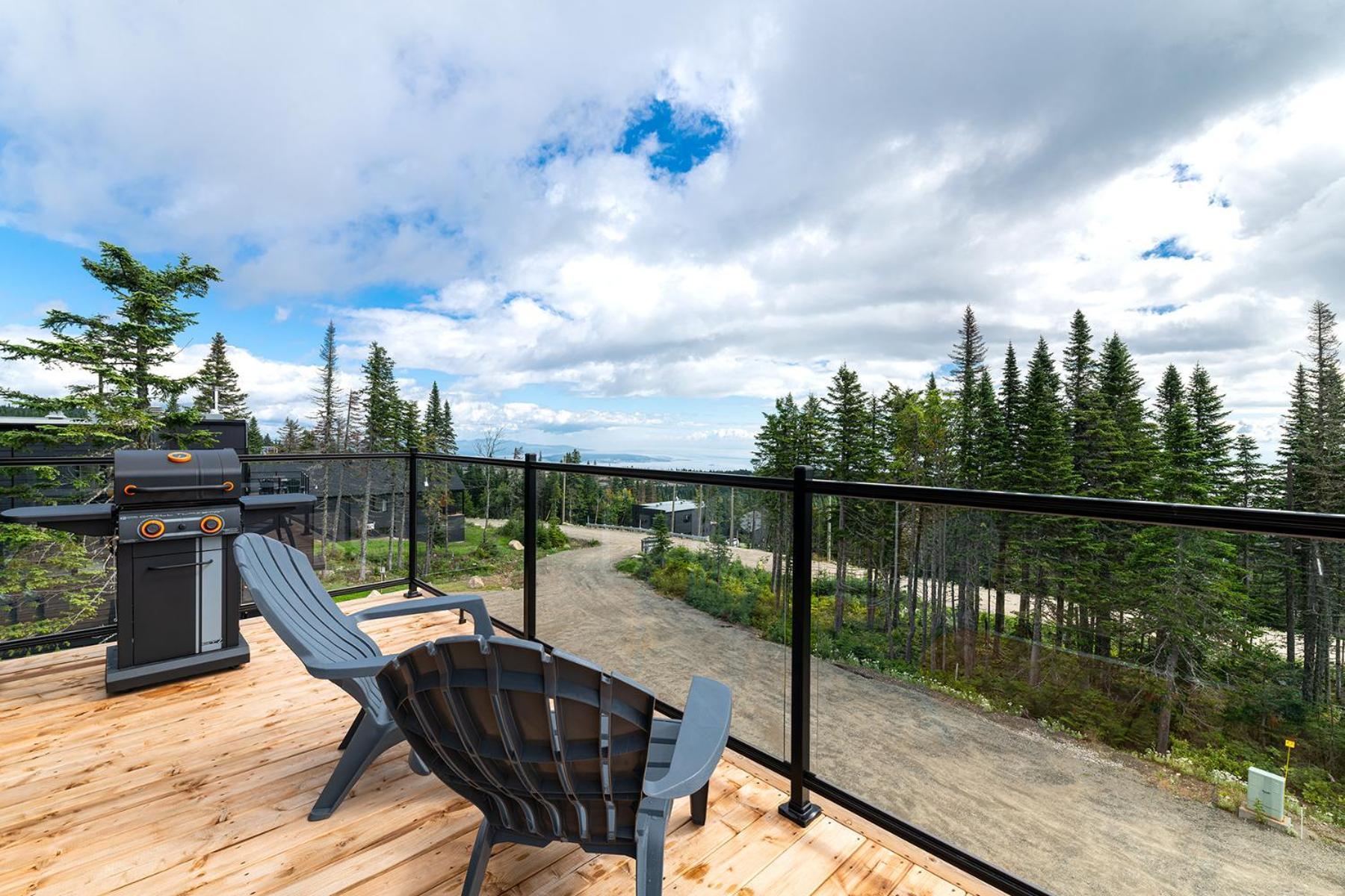 Les Chalets Du Massif De Charlevoix Петіт-Рів'єр-Сен-Франсуа Номер фото