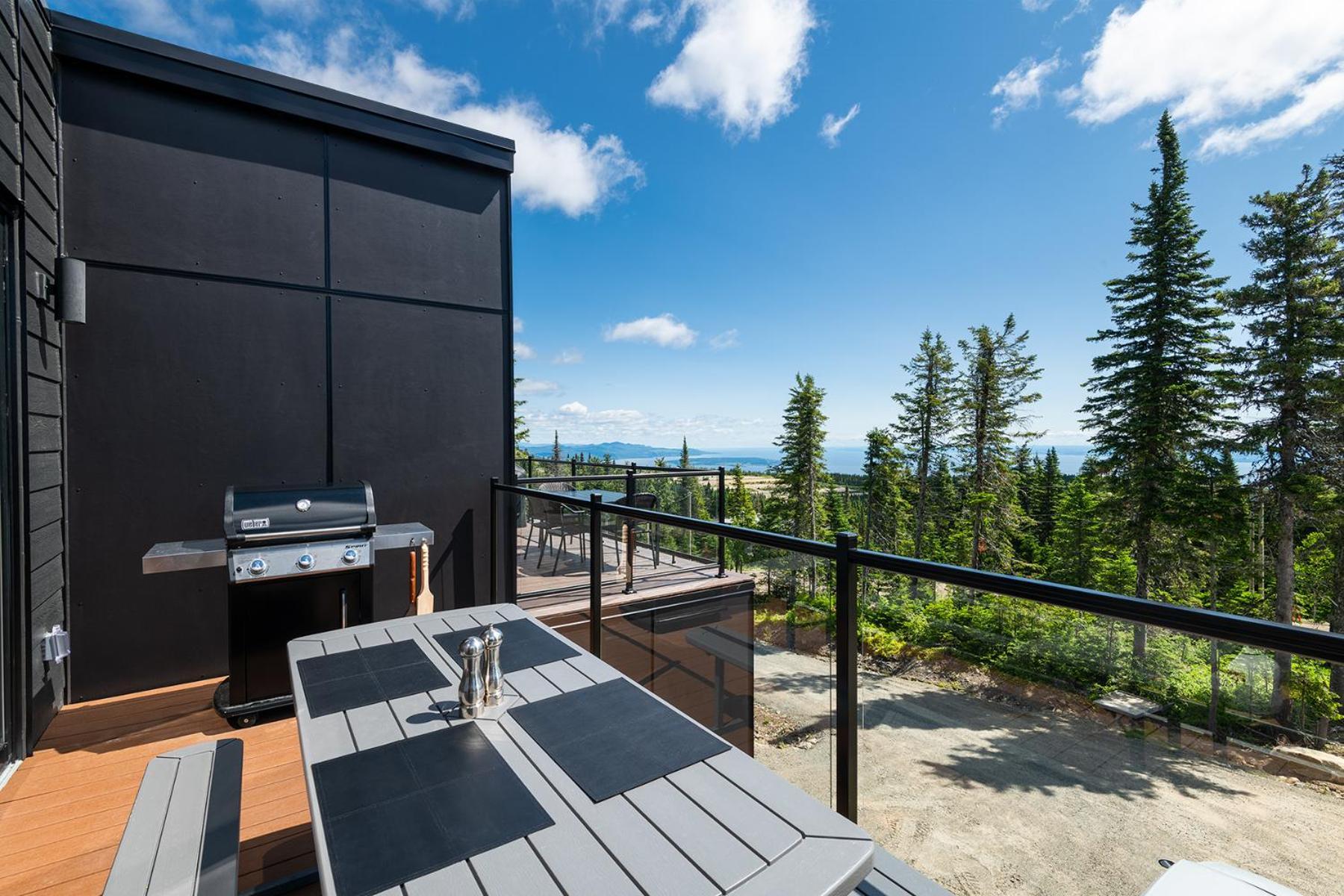 Les Chalets Du Massif De Charlevoix Петіт-Рів'єр-Сен-Франсуа Номер фото