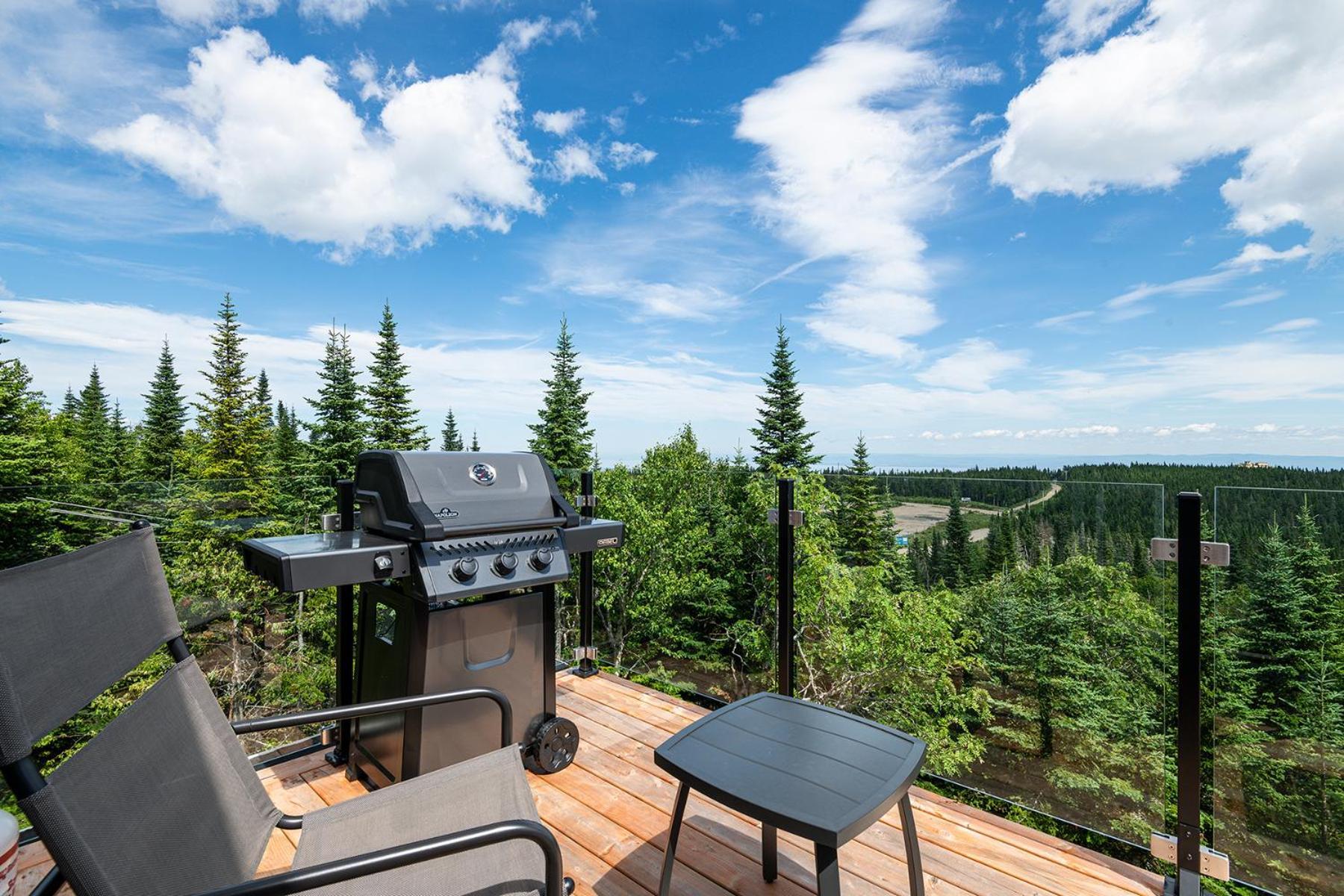 Les Chalets Du Massif De Charlevoix Петіт-Рів'єр-Сен-Франсуа Номер фото